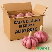 Alho Roxo Imagem Alho Roxo