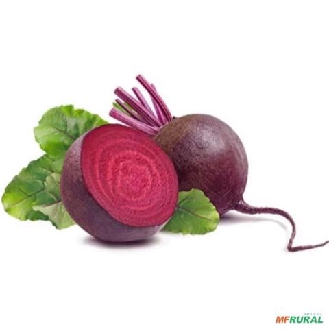 Compro Beterraba Imagem Compro Beterraba