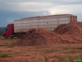 Carreta cavaqueira