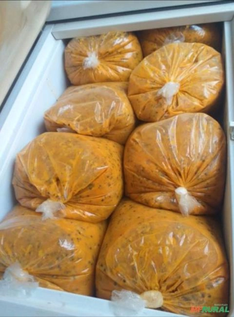 Polpa de Maracujá Imagem Polpa de Maracujá