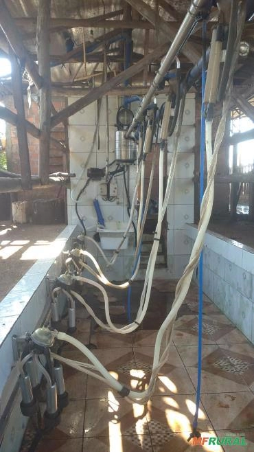 Ordenhadeira - 5 conjuntos- DeLaval Imagem Ordenhadeira - 5 conjuntos- DeLaval