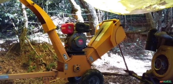 Triturador de galhos da lippel Imagem Triturador de galhos da lippel