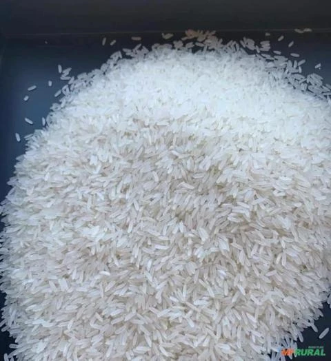 ARROZ TIPO 1 PARA EXPORTAÇÃO