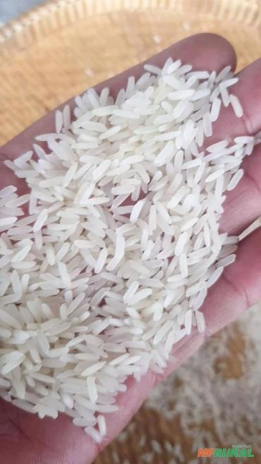 ARROZ TIPO 1 PARA EXPORTAÇÃO