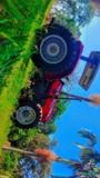 Trator Massey Ferguson 4283 Imagem Trator Massey Ferguson 4283