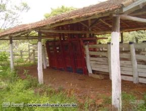 TRONCO DE CONTENÇÃO PARA BOVINOS TRONCO DE CONTENÇÃO PARA BOVINOS