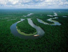 Área de Compensação de Reserva Legal no Bioma Amazonico