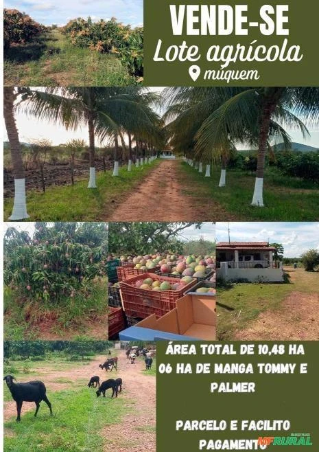 Lote rural vale do são Francisco 10,48 HA 6 HA plantados