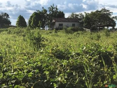 Fazenda em Ananás TO