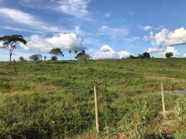 Fazenda em Ananás TO