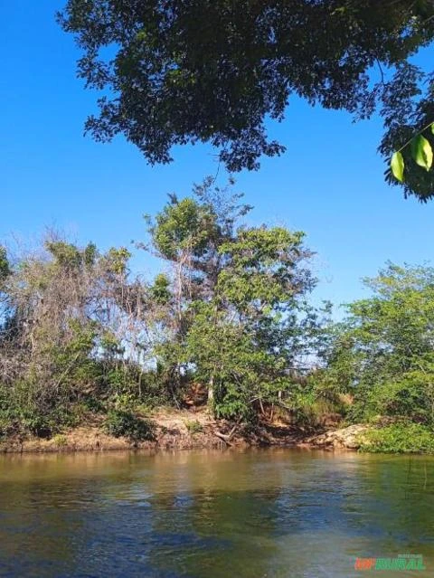 Fazenda em Ananás TO