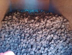 Carvão da Casca do Coco carbonizada