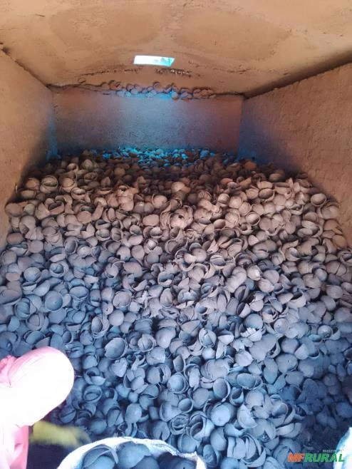 Carvão da Casca do Coco carbonizada
