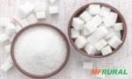 "SUGAR IC 45 EXCLUSIVELY FOR EXPORT