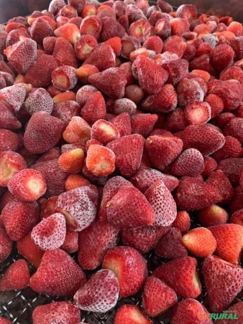 Frutas congeladas em geral  atacado em varejo Imagem Frutas congeladas em geral  atacado em varejo