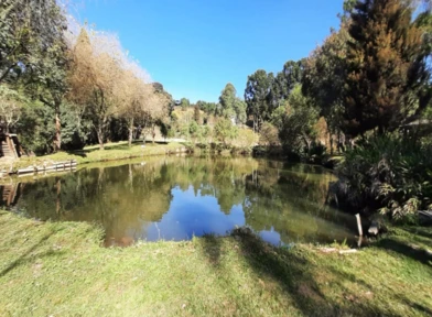 CHACARA EM BOCAIUVA DO SUL