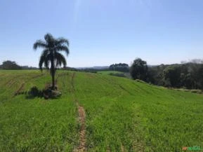 CHACARA EM CAMPO LARGO