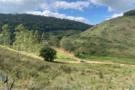 FAZENDA DE APROXIMADAMENTE 111 HECTARES POR R$ 2.180.000,00 EM TORREÕES, JUIZ DE FORA - MG