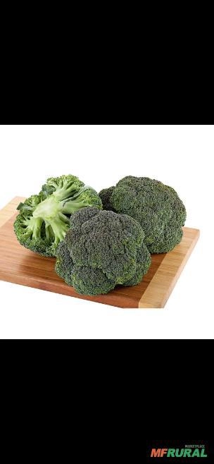 Brocolis Imagem Brocolis