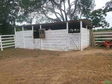 Fazenda 78,3 Hectares para criação de gado - Luziânia/GO