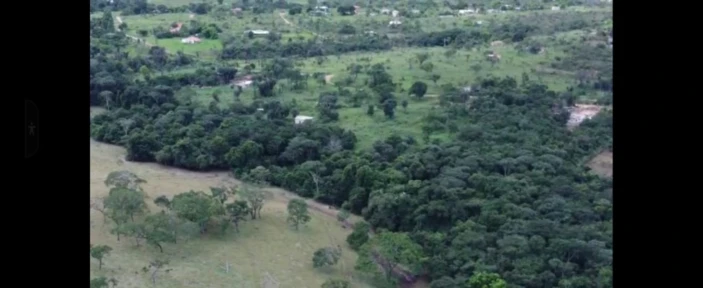 Fazenda 78,3 Hectares para criação de gado - Luziânia/GO