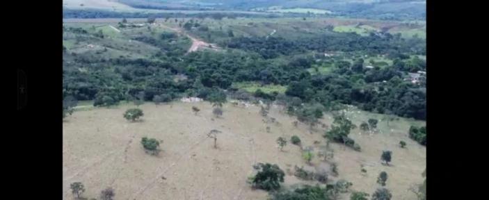 Fazenda 78,3 Hectares para criação de gado - Luziânia/GO