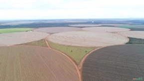 Fazenda em Cristalina GO