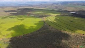 Fazenda a venda em são Gabriel de Goiás GO