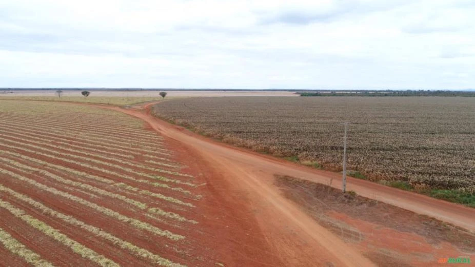 Fazenda a venda em Unaí