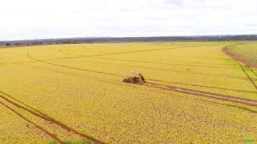 Fazenda a venda em Unaí