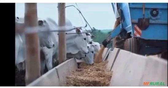 Fazenda a venda em Unaí