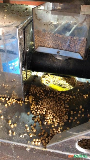 Óleo de soja Imagem Óleo de soja