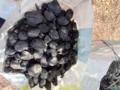 Carvão e Casca de côco pra vender em grandes quantidades