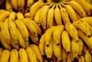 Banana Imagem Banana