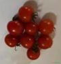 Mini tomates delicatéssen tipos grape e cereja para venda