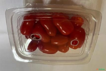 Imagem Mini tomates delicatéssen tipos grape e cereja para venda Imagem Mini tomates delicatéssen tipos grape e cereja para venda