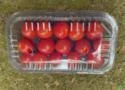Mini tomates delicatéssen tipos grape e cereja para venda Imagem Mini tomates delicatéssen tipos grape e cereja para venda