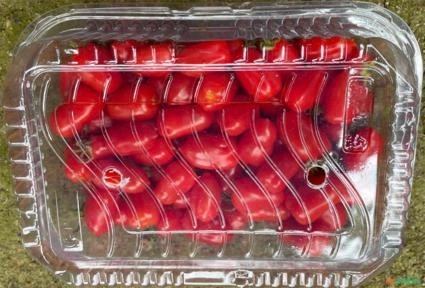 Imagem Mini tomates delicatéssen tipos grape e cereja para venda Imagem Mini tomates delicatéssen tipos grape e cereja para venda