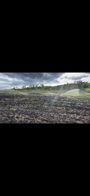 Kit de irrigação Imagem Kit de irrigação