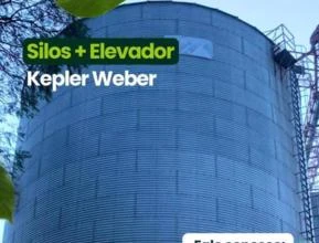 Silos Kepler 50 mil sacas + Elevador 28 metros 60 Ton/H