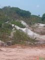 Jazida de Areia Branca - 44 Hectares com 450 Mil Toneladas Imagem Jazida de Areia Branca - 44 Hectares com 450 Mil Toneladas