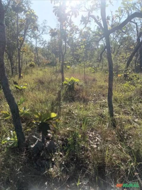 Fazenda para soja e pivô central em TO