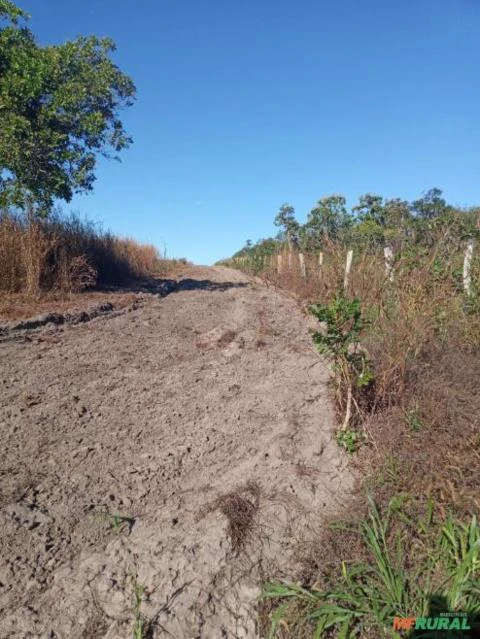 Fazenda para soja e pivô central em TO