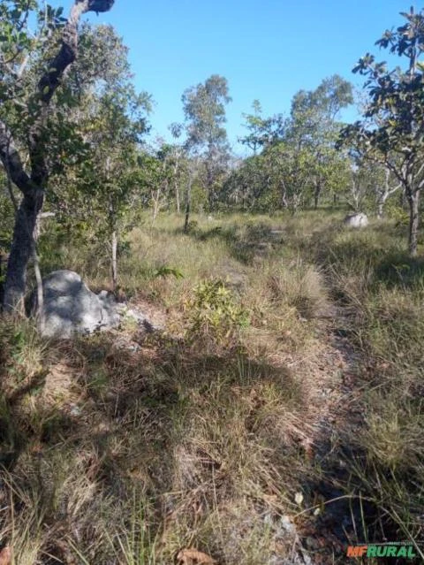 Fazenda para soja e pivô central em TO