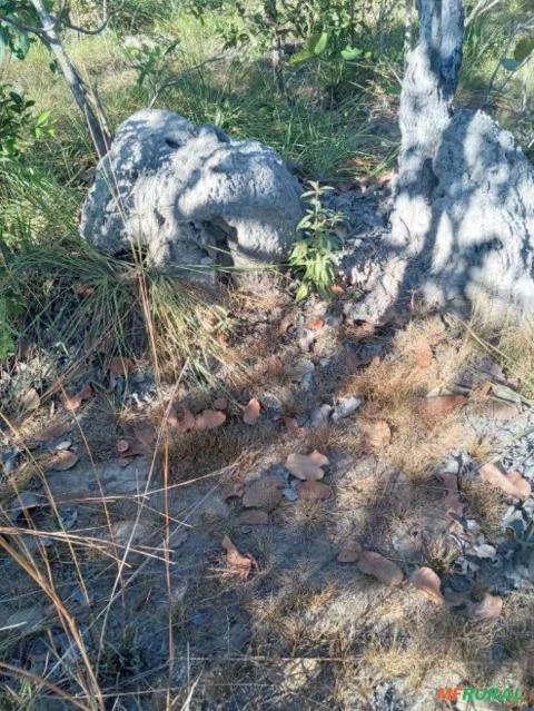 Fazenda para soja e pivô central em TO