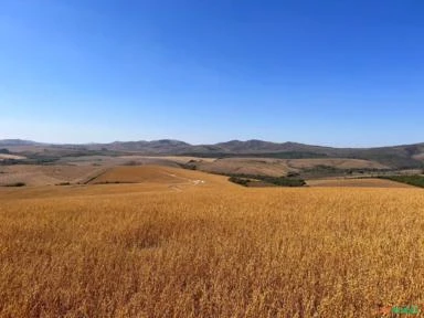 Fazenda Safira - Andrelândia MG