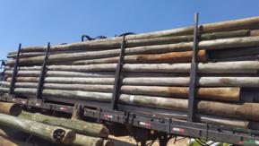 Poste de madeira eucalipto tratado