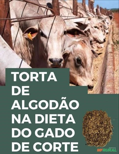 Torta de algodão 28%