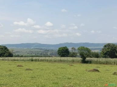 Vendo propriedade rural (para agricultura ou agroindústria)! Excelente oportunidade!