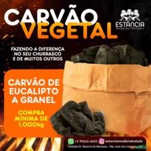 CARVAO VEGETAL